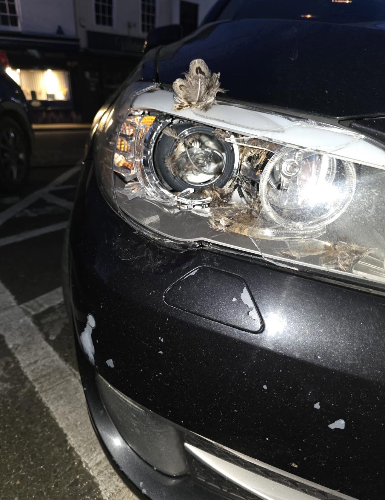 BMW F10 — Bird Strike & Rapid Replacement — before