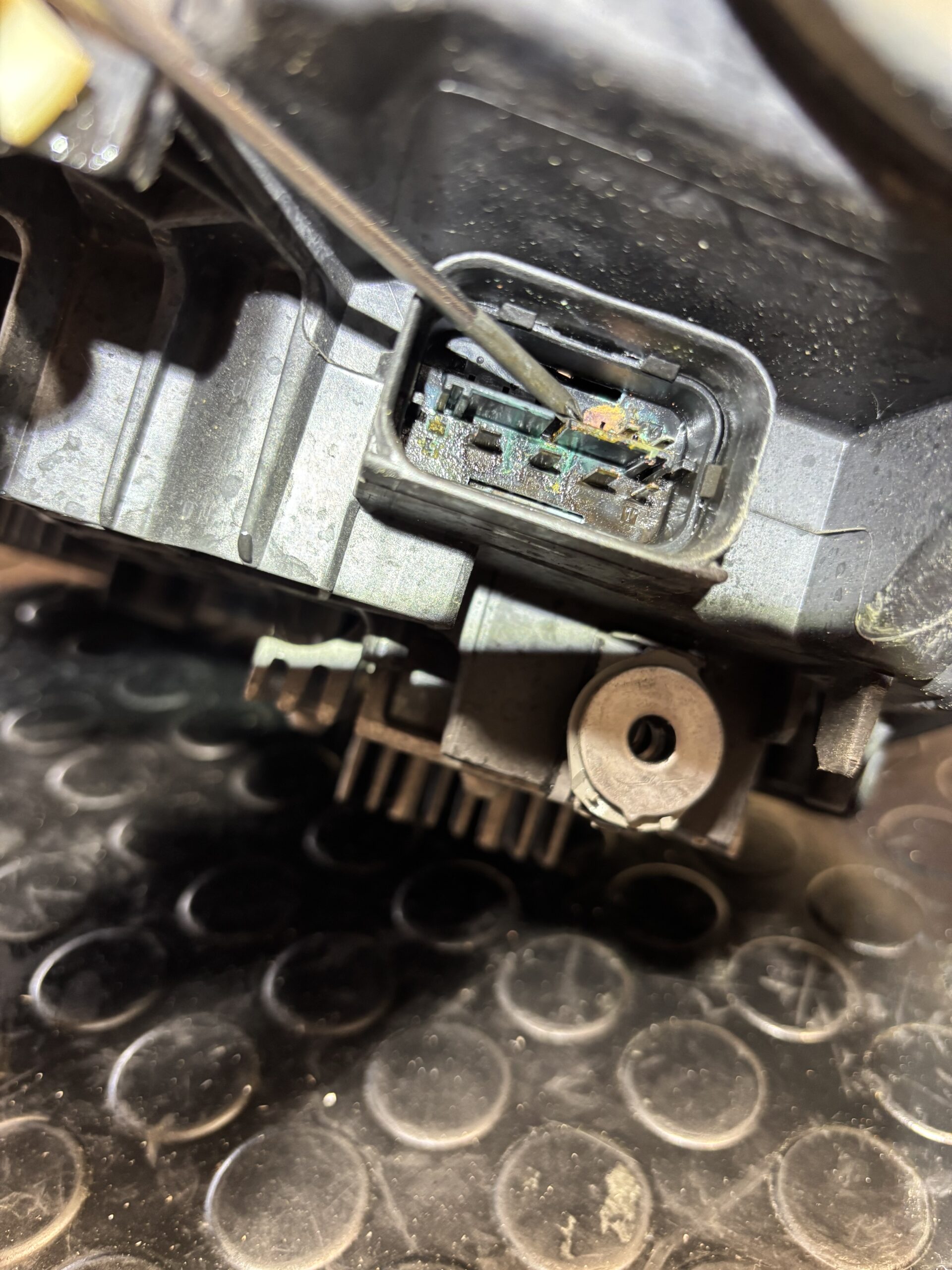 BMW 1 Series — Condensation & Corroded Connector — inspection